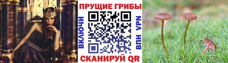 Галлюциногенные грибы мухоморы  Лакинск 